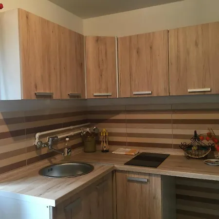 Zlatiborska Kuca U Sumi Holiday home *