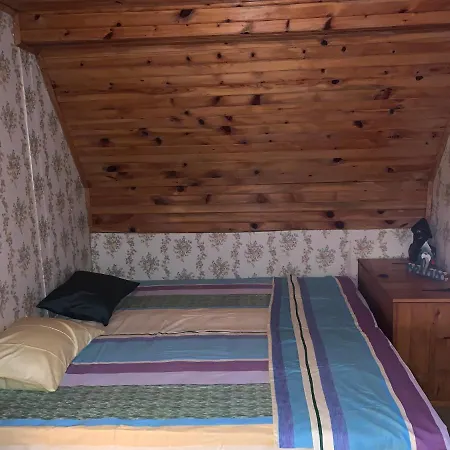 Zlatiborska Kuca U Sumi *