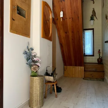 Zlatiborska Kuca U Sumi Holiday home *