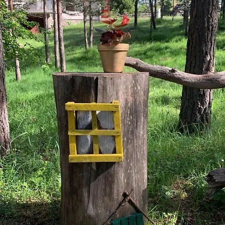 Holiday home Zlatiborska Kuca U Sumi Dobroselica