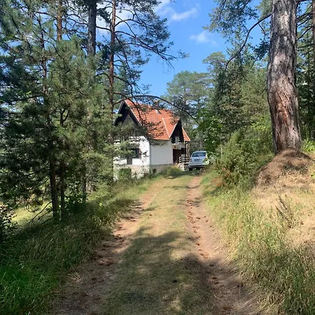 Holiday home Zlatiborska Kuca U Sumi