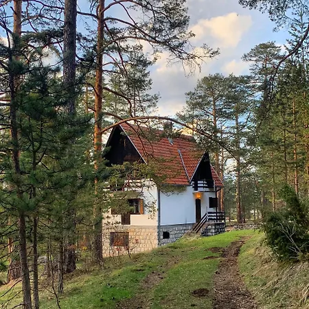 Zlatiborska Kuca U Sumi Holiday home *