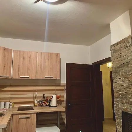 Zlatiborska Kuca U Sumi Holiday home Dobroselica