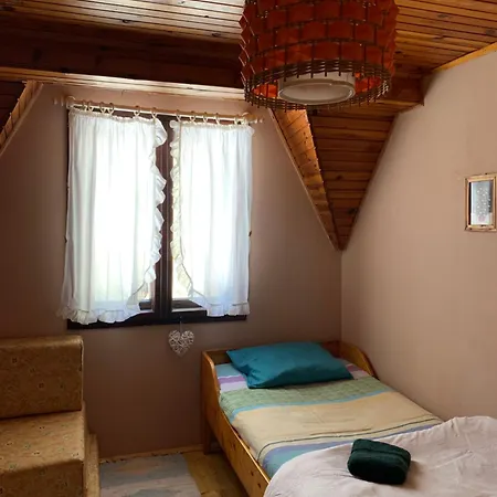 Zlatiborska Kuca U Sumi Holiday home Dobroselica