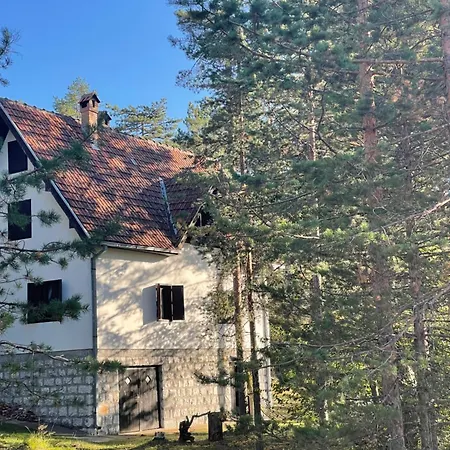 Zlatiborska Kuca U Sumi Holiday home