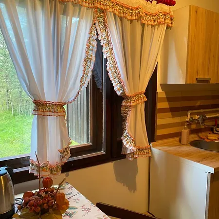 Zlatiborska Kuca U Sumi Holiday home *